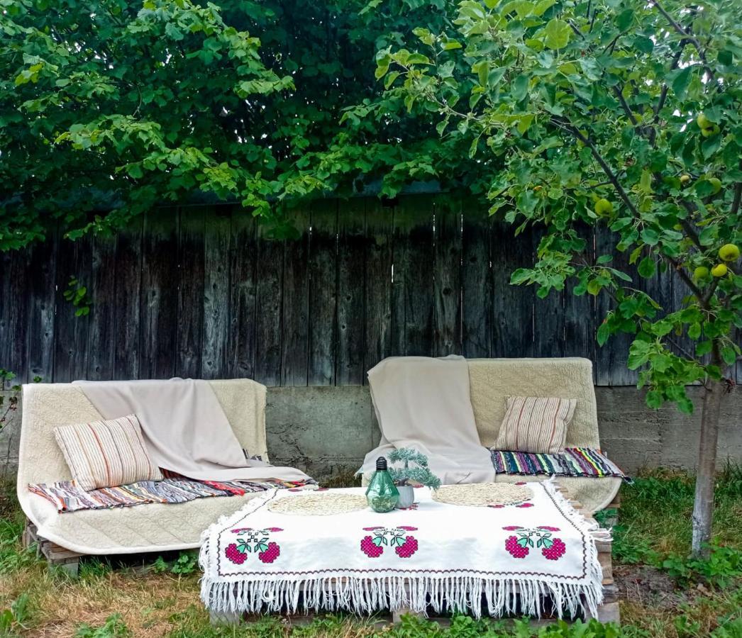 Casa La Agapia Bed & Breakfast エクステリア 写真
