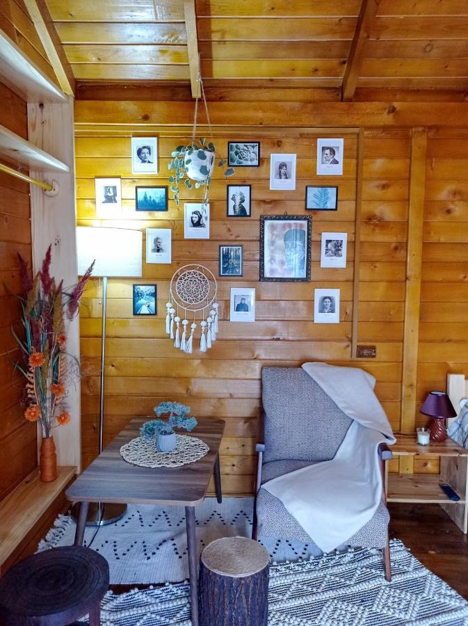 Casa La Agapia Bed & Breakfast エクステリア 写真