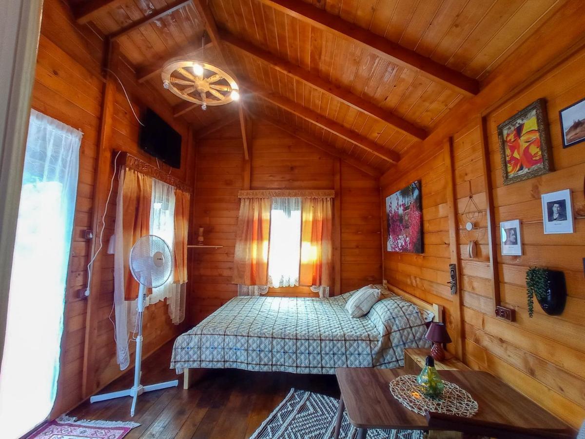 Casa La Agapia Bed & Breakfast エクステリア 写真